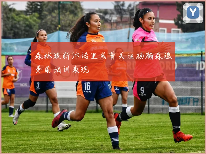 森林狼新帅诺里或曾关注杨瀚森选秀前试训表现